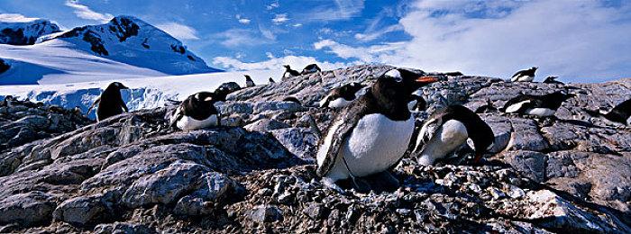 国产怀旧游戏《世上英雄》Steam特别好评 特惠26.1元